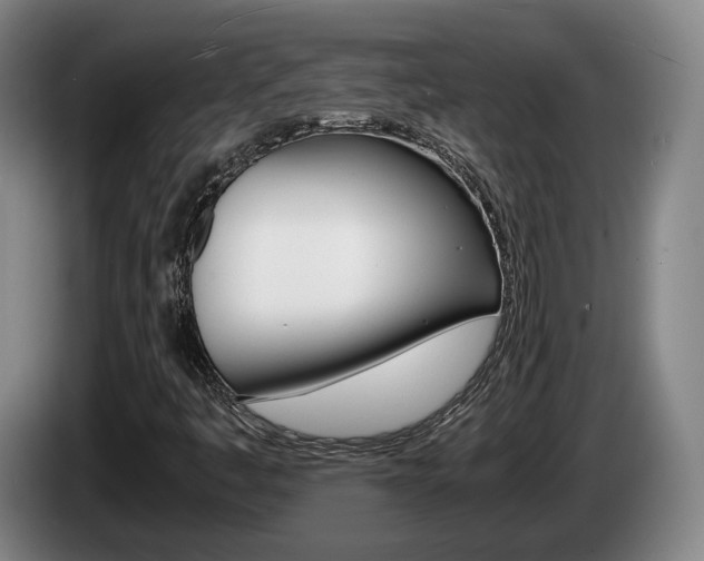 X0000085311445200703091044