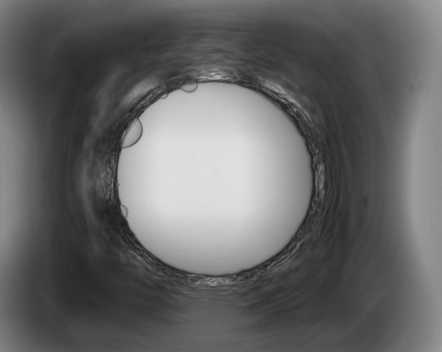 X0000085311446200703091044