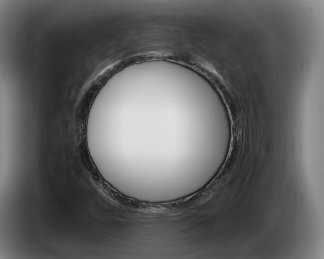 X0000085311448200703091044