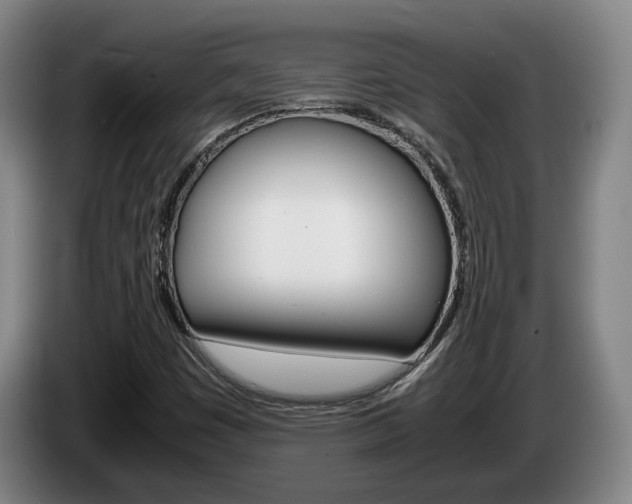 X0000085311449200703091044