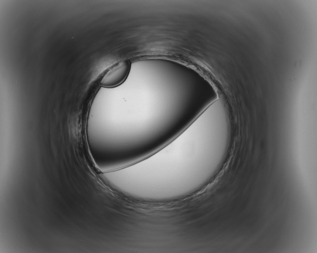 X0000085311450200703091044
