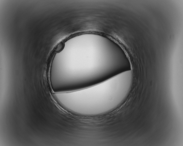 X0000085311452200703091044