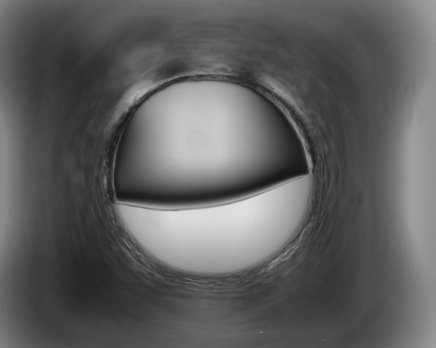 X0000085311455200703091044
