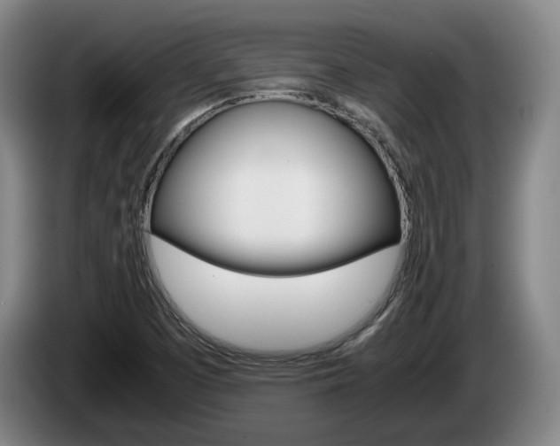 X0000085311457200703091044