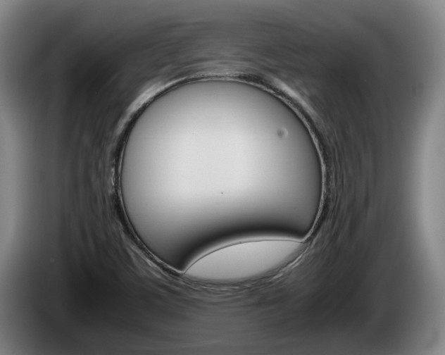 X0000085311459200703091044