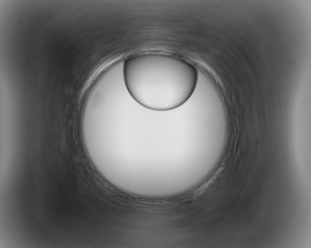X0000085311461200703091044