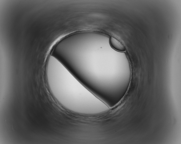 X0000085311463200703091044