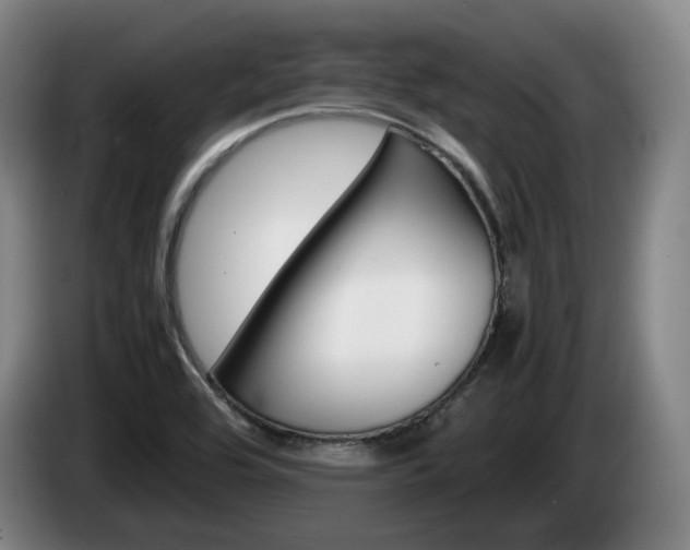 X0000085311464200703091044