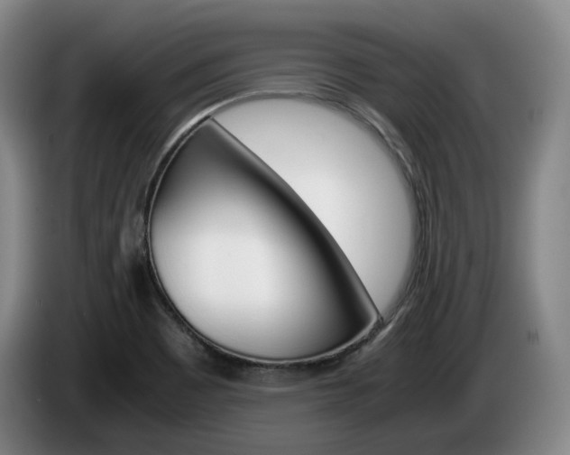 X0000085311465200703091044