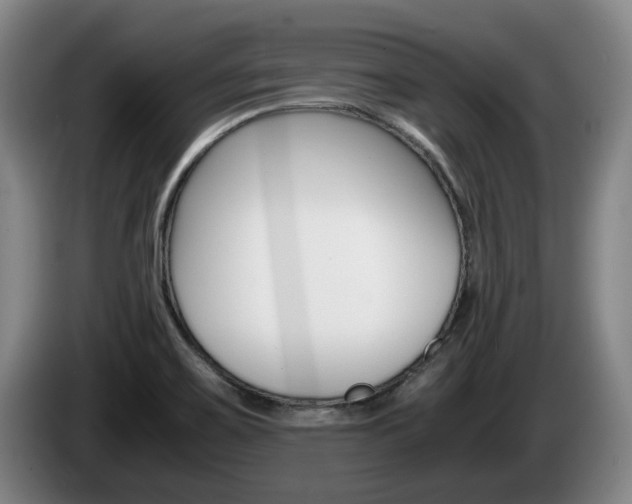 X0000085311467200703091044