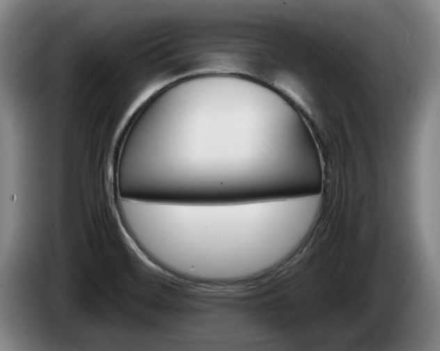 X0000085311468200703091044