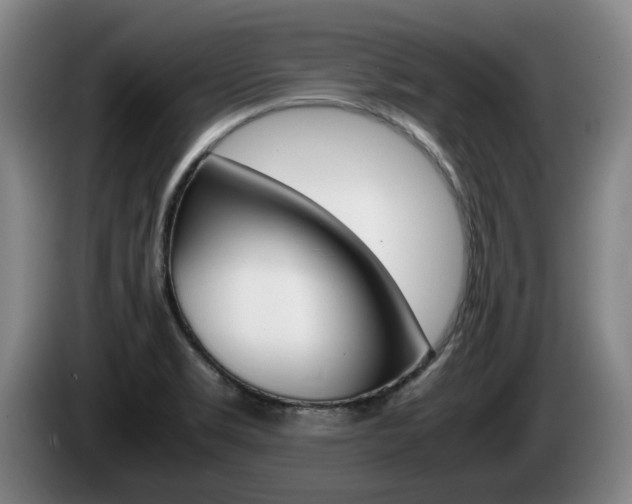 X0000085311469200703091044