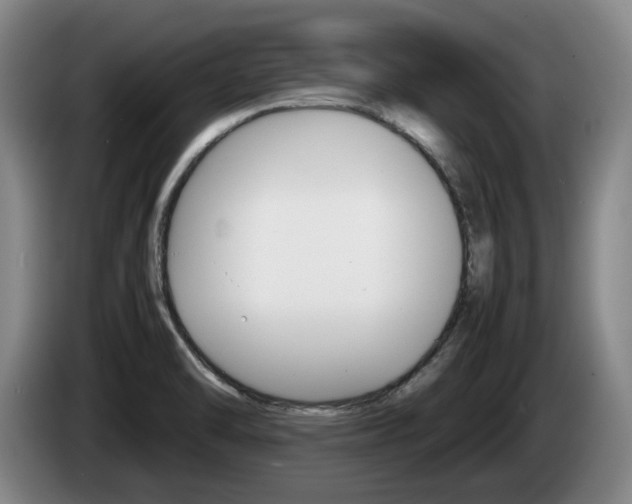 X0000085311470200703091044