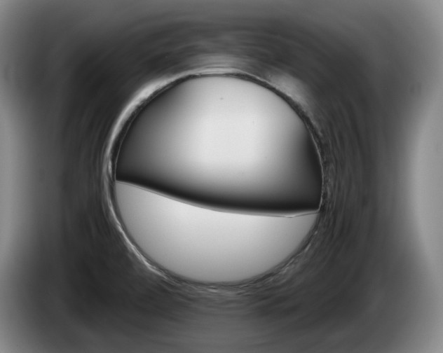 X0000085311472200703091044