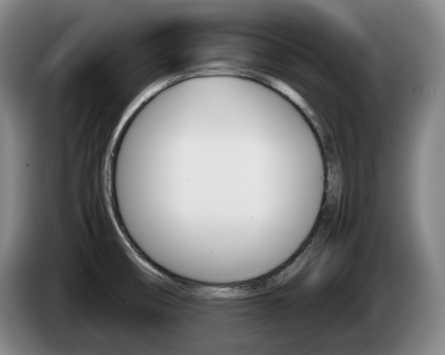 X0000085311474200703091043