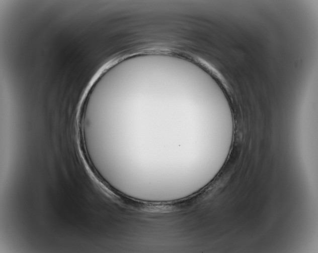 X0000085311475200703091043