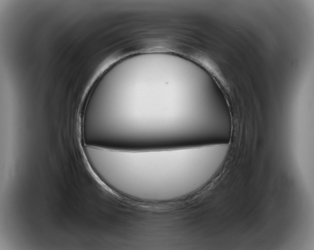 X0000085311476200703091043