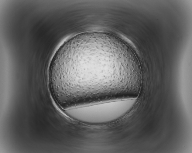 X0000085311479200703091043
