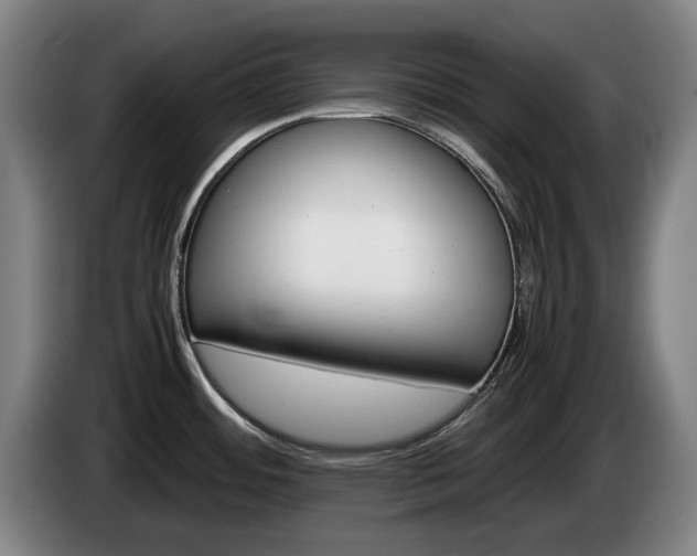 X0000085311484200703091043