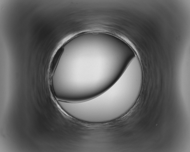 X0000085311485200703091043