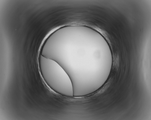 X0000085311486200703091043