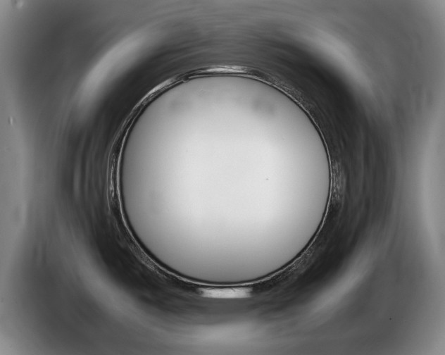 X0000085311487200703091043