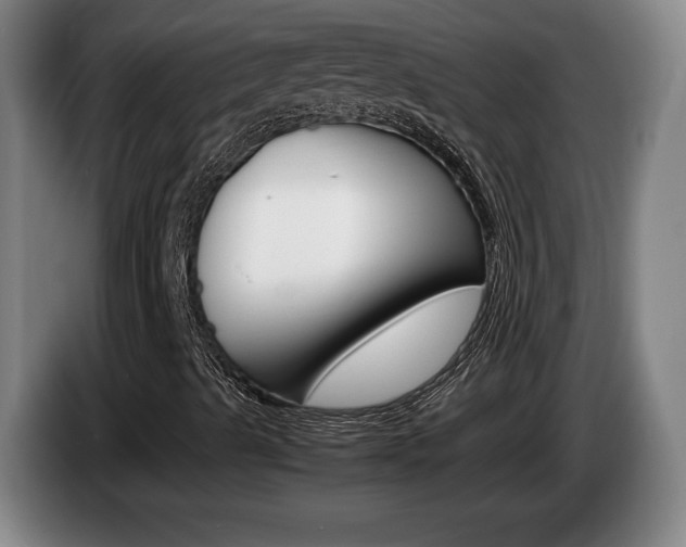 X0000085311489200703091043