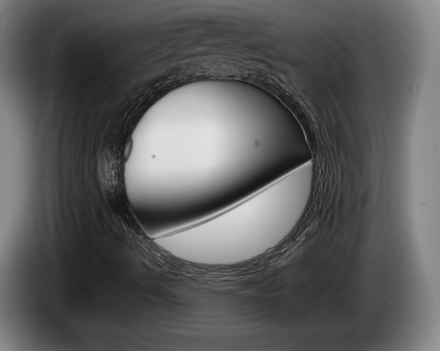 X0000085311490200703091043