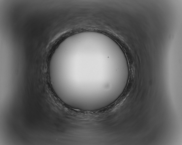 X0000085311494200703091043