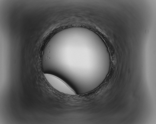 X0000085311495200703091043