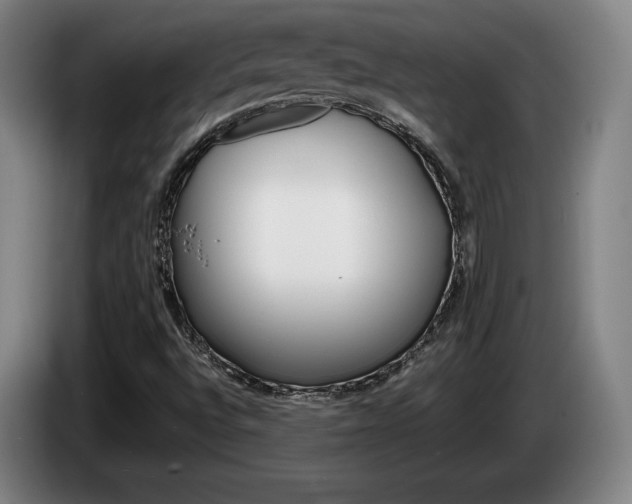 X0000085311496200703091043
