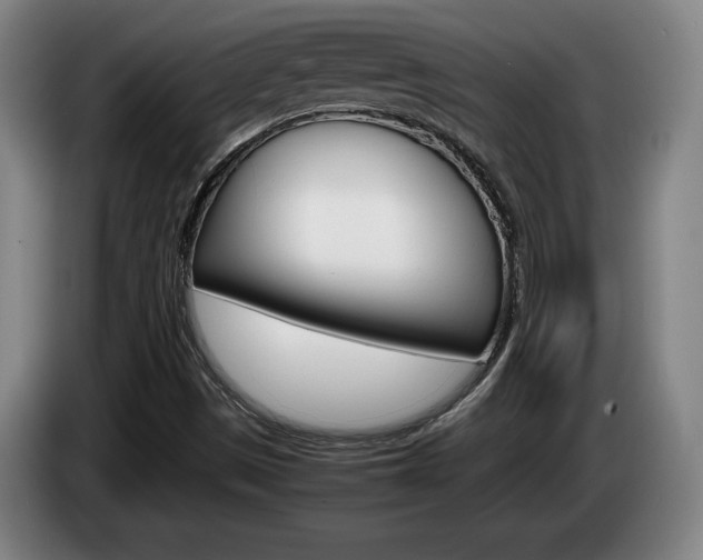 X0000085311497200703091043