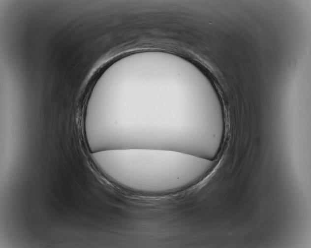 X0000085311498200703091043