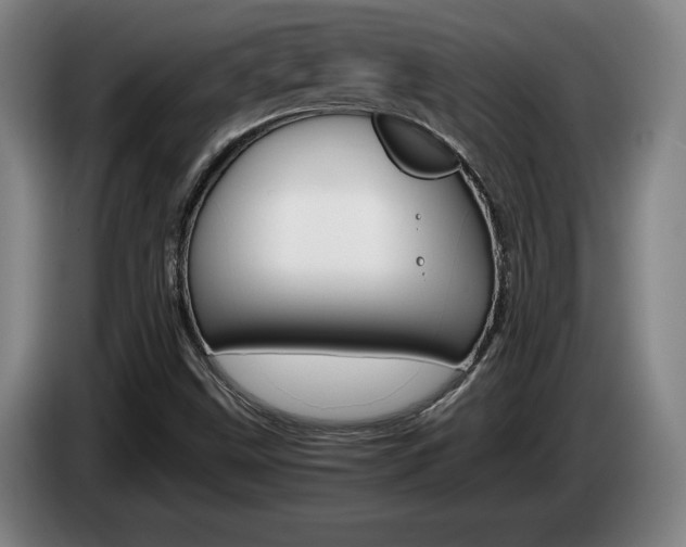 X0000085311499200703091043