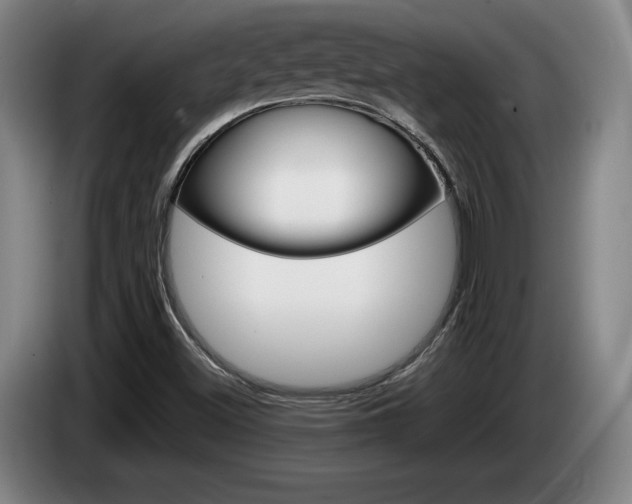 X0000085311500200703091043