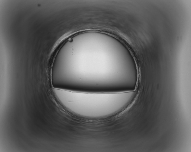 X0000085311501200703091043