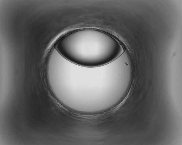 X0000085311502200703091043