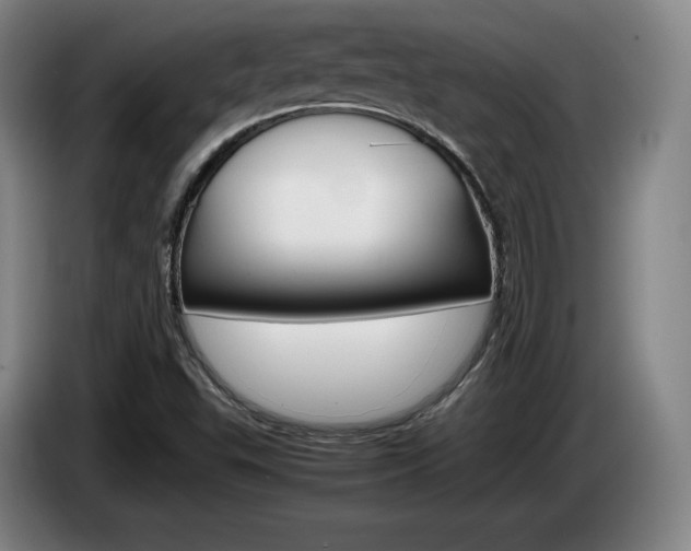 X0000085311503200703091043