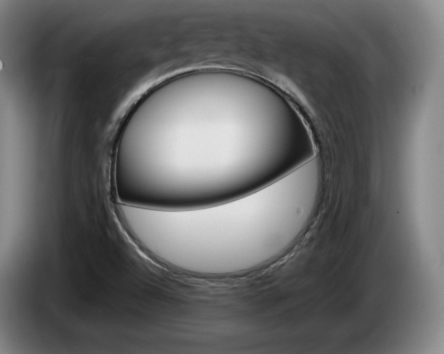 X0000085311504200703091043