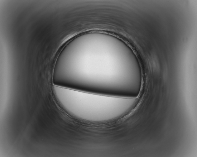X0000085311505200703091043