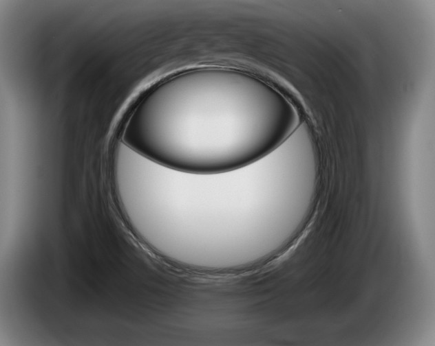 X0000085311506200703091043