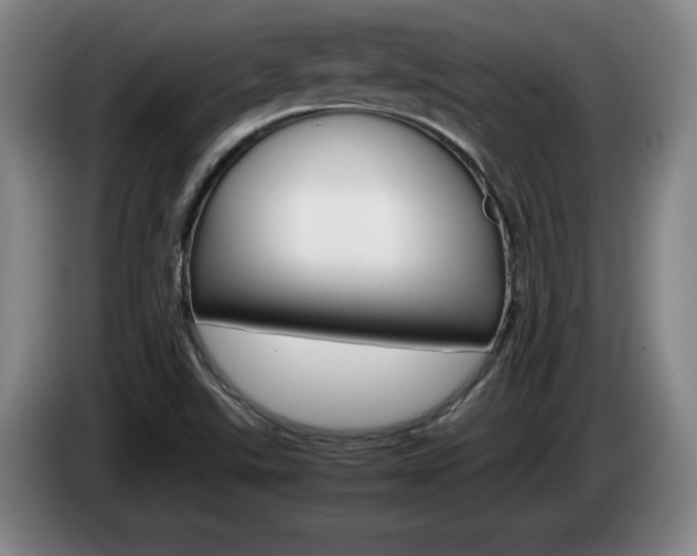 X0000085311507200703091043