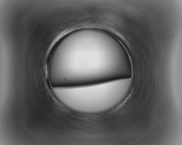 X0000085311509200703091043