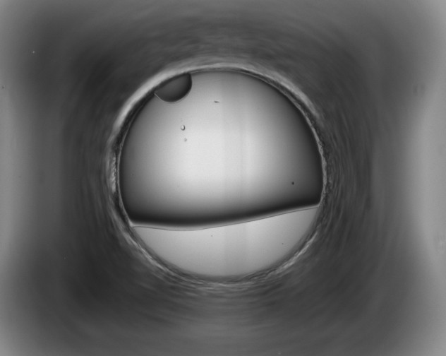 X0000085311510200703091043
