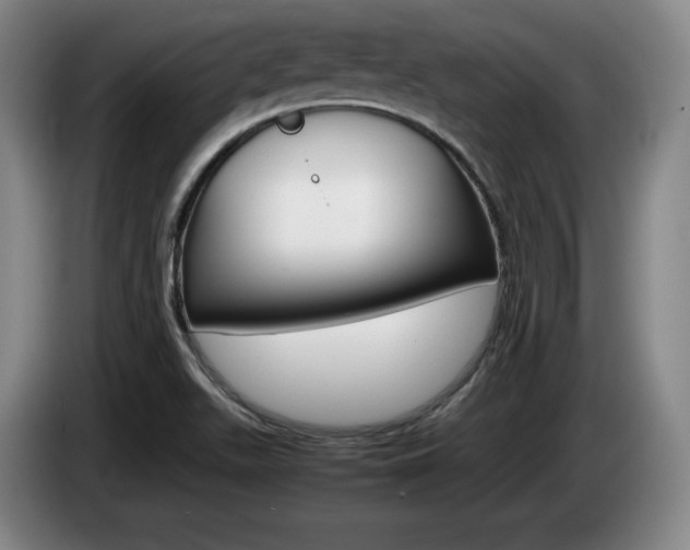 X0000085311511200703091043