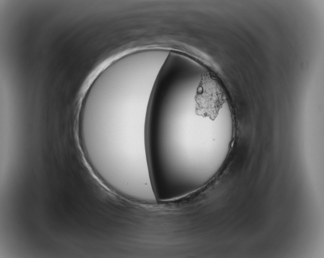 X0000085311512200703091043