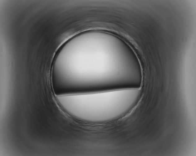 X0000085311513200703091043