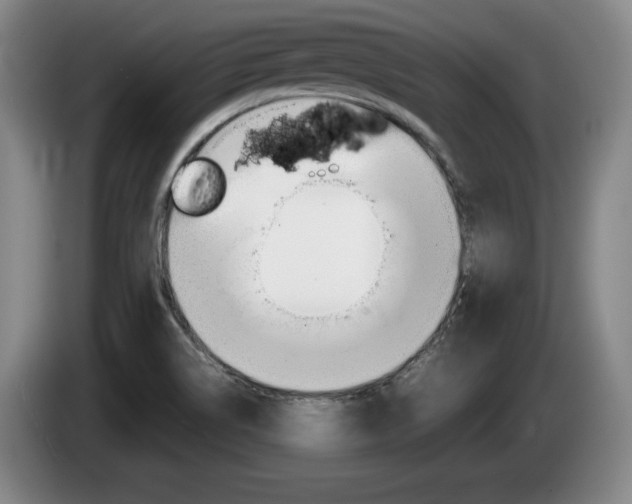 X0000085311514200703091043