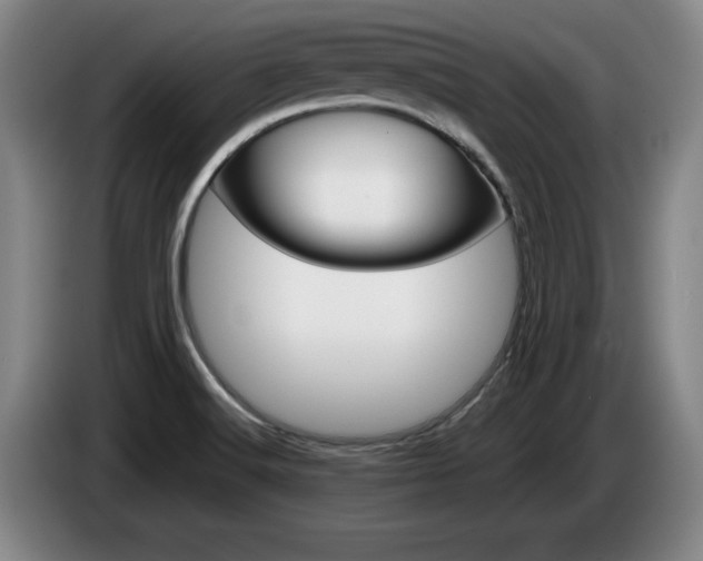 X0000085311516200703091043