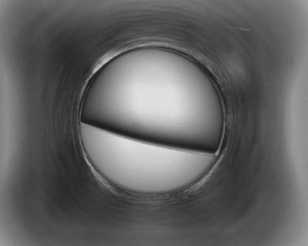X0000085311521200703091043